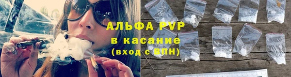 трава Арсеньев