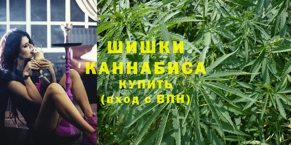трава Арсеньев