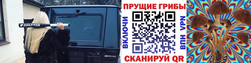 Купить где  Уяр  Псилоцибиновые грибы мухоморы 
